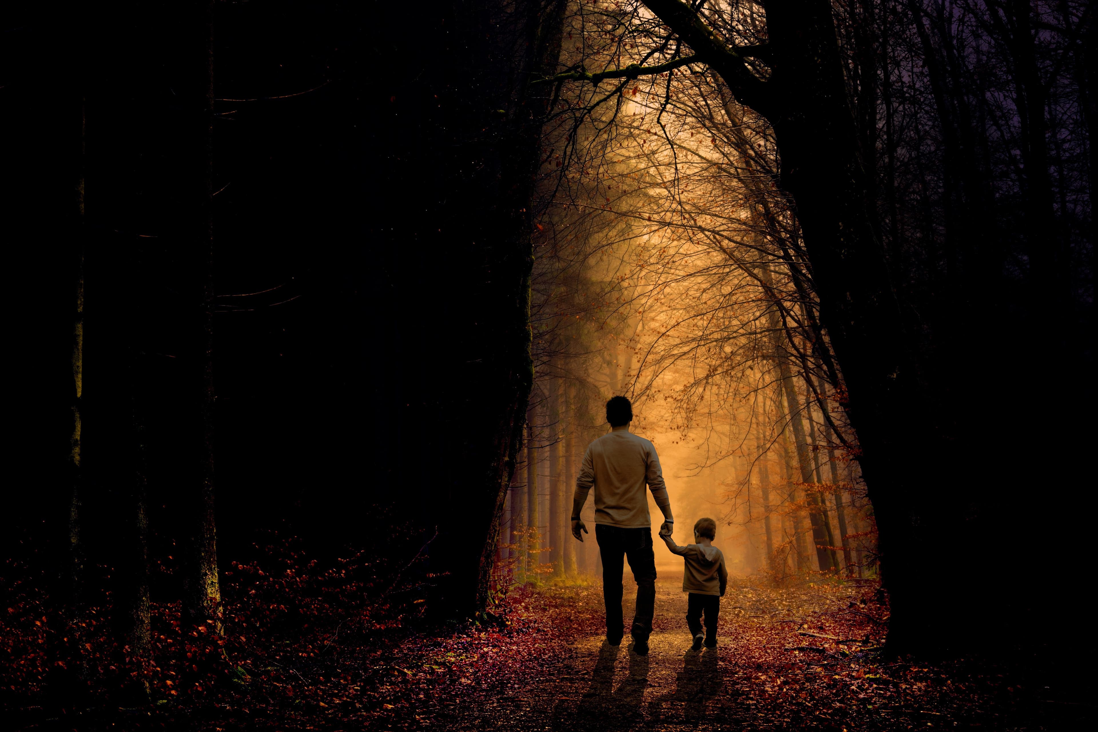 Father, Son, Walking in the woods